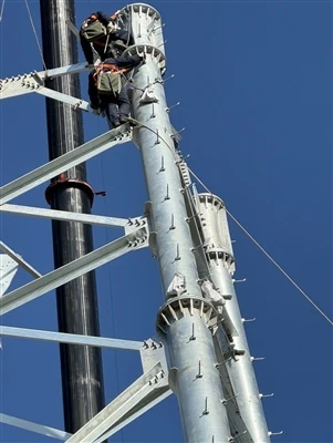 Apņēmības pilns Āfrikas elektrotīkla izbūvei, īpaši{0}}lieli dubultstabi, kas piegādāti uz Nigēriju.